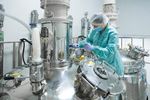 Understanding Food Processing Machinery: A Complete Guide to Functions and Technology